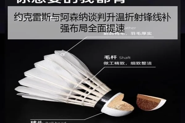 约克雷斯与阿森纳谈判升温折射锋线补强布局全面提速